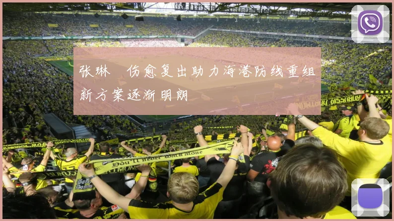 张琳芃伤愈复出助力海港防线重组新方案逐渐明朗